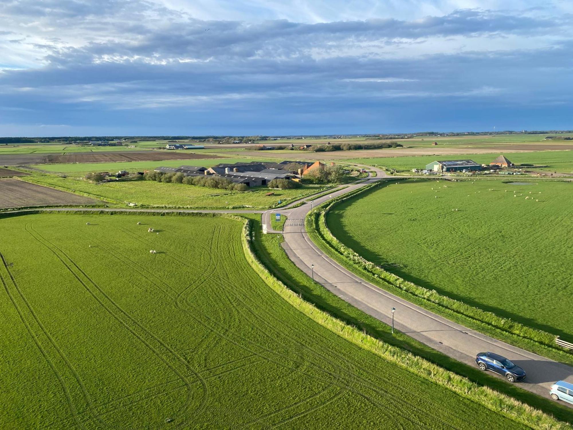 Oomes Huus Haestens And Koffie Den Hoorn  Exteriör bild