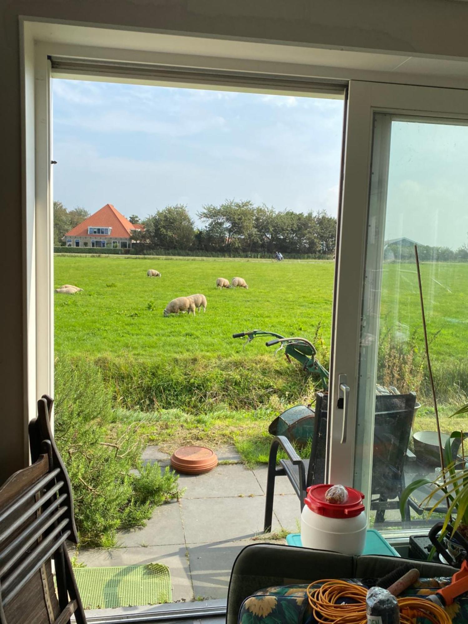 Oomes Huus Haestens And Koffie Den Hoorn  Exteriör bild