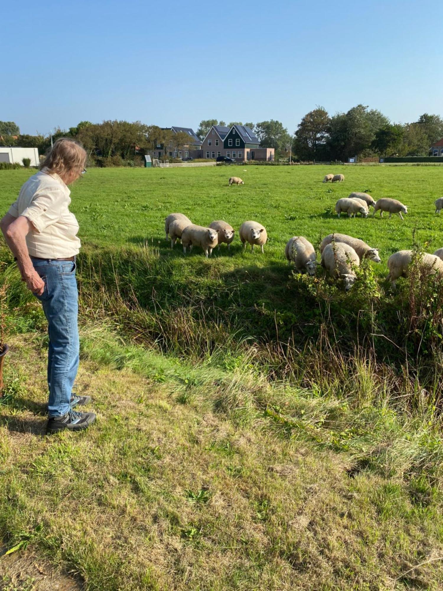Oomes Huus Haestens And Koffie Den Hoorn  Exteriör bild