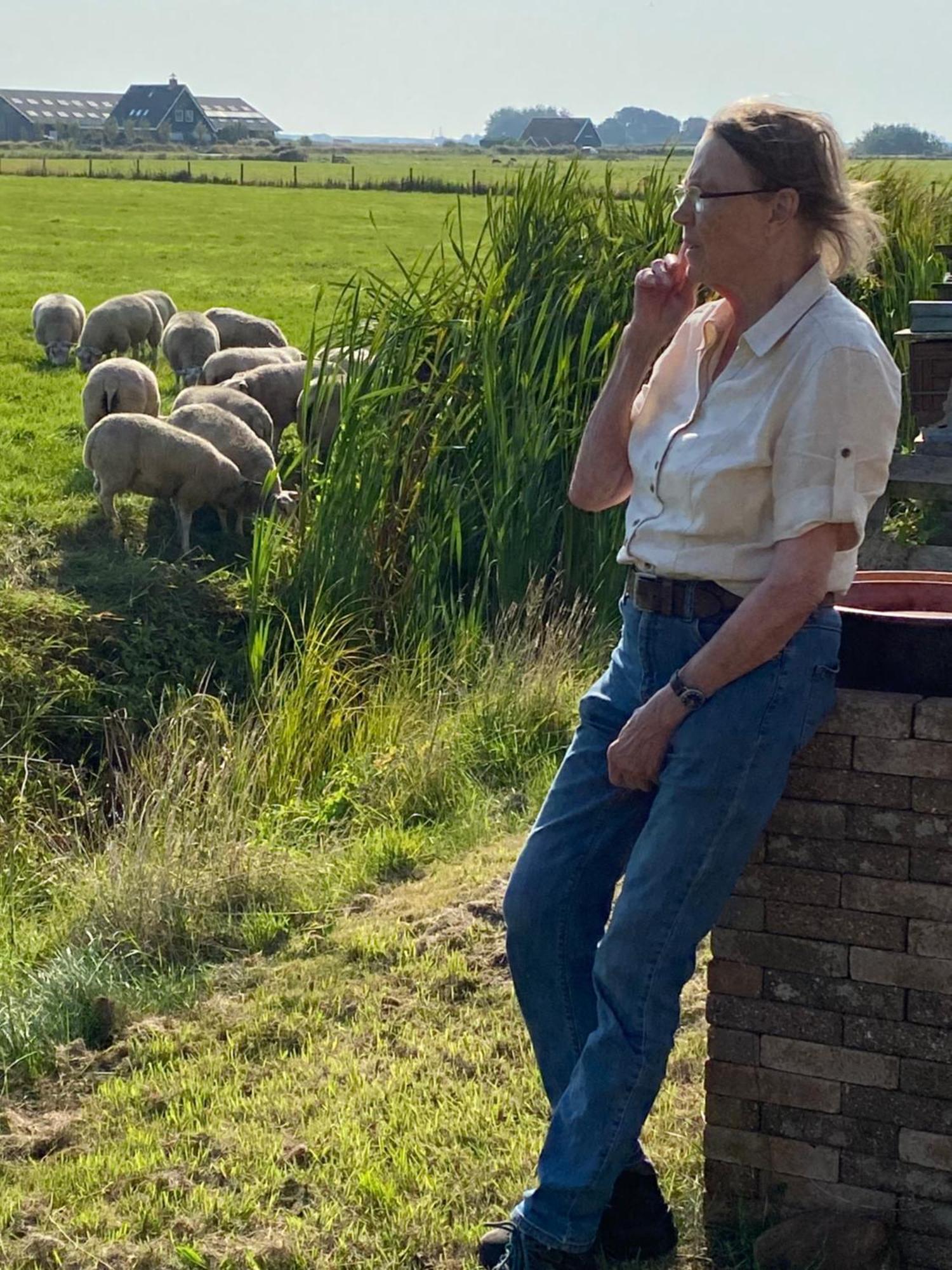 Oomes Huus Haestens And Koffie Den Hoorn  Exteriör bild