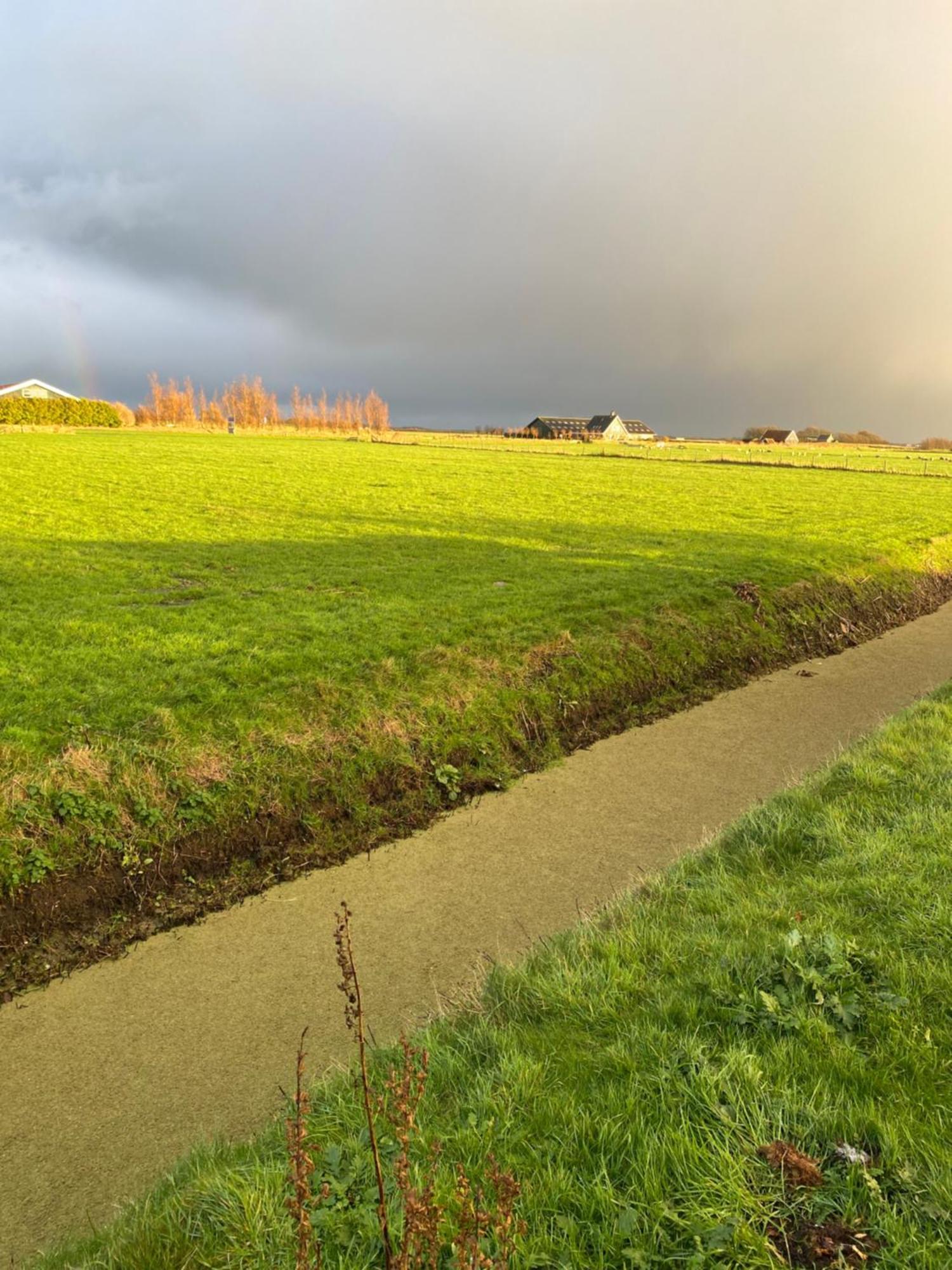 Oomes Huus Haestens And Koffie Den Hoorn  Exteriör bild