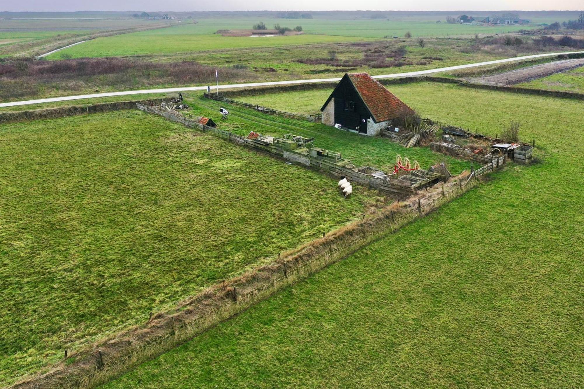 Oomes Huus Haestens And Koffie Den Hoorn  Exteriör bild