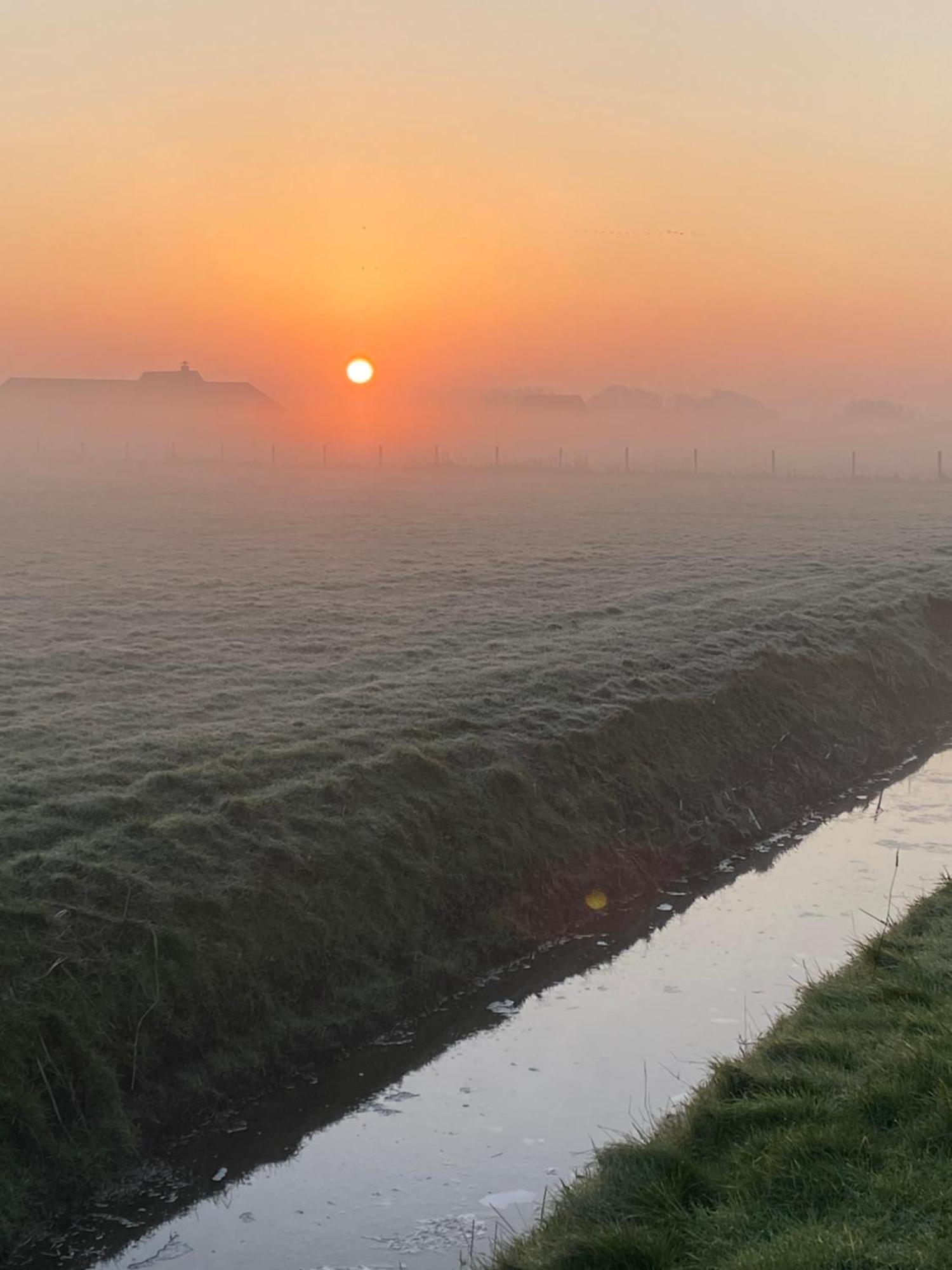 Oomes Huus Haestens And Koffie Den Hoorn  Exteriör bild