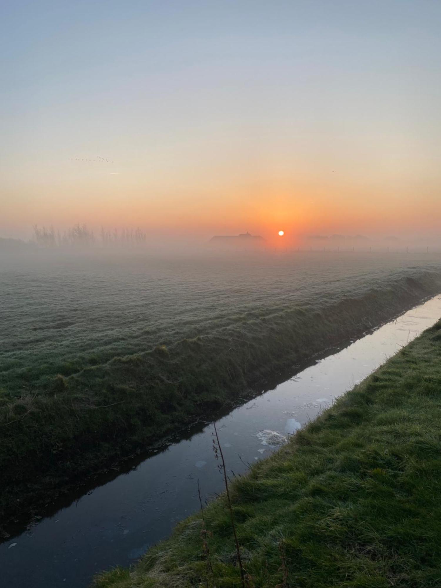 Oomes Huus Haestens And Koffie Den Hoorn  Exteriör bild