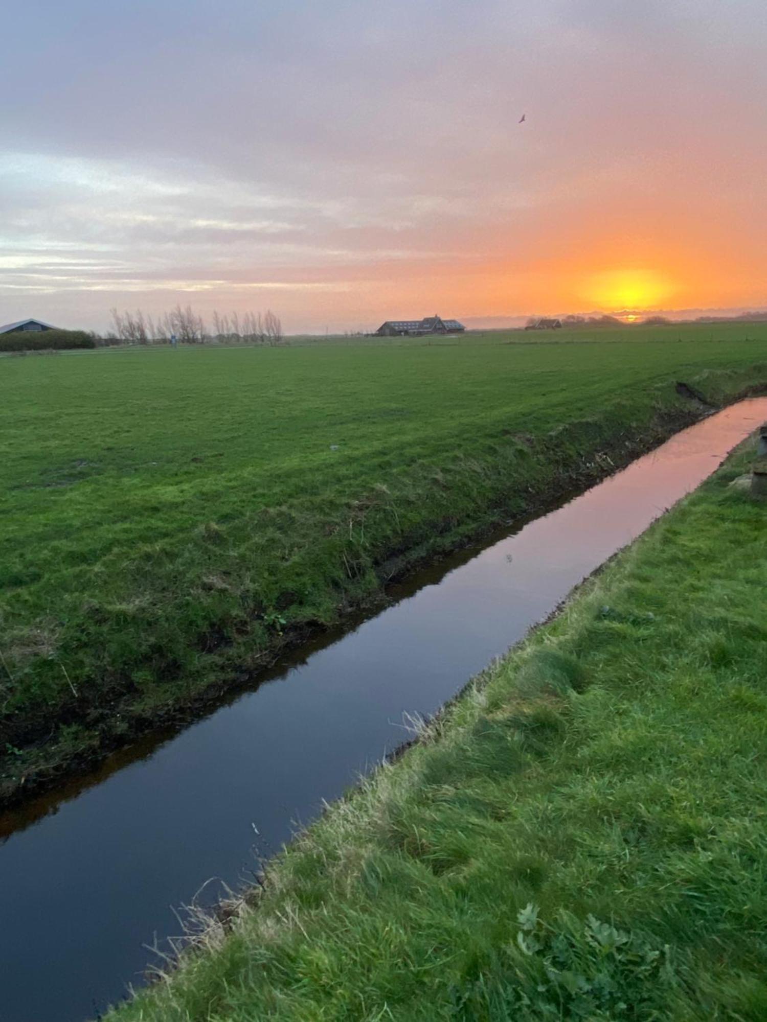 Oomes Huus Haestens And Koffie Den Hoorn  Exteriör bild