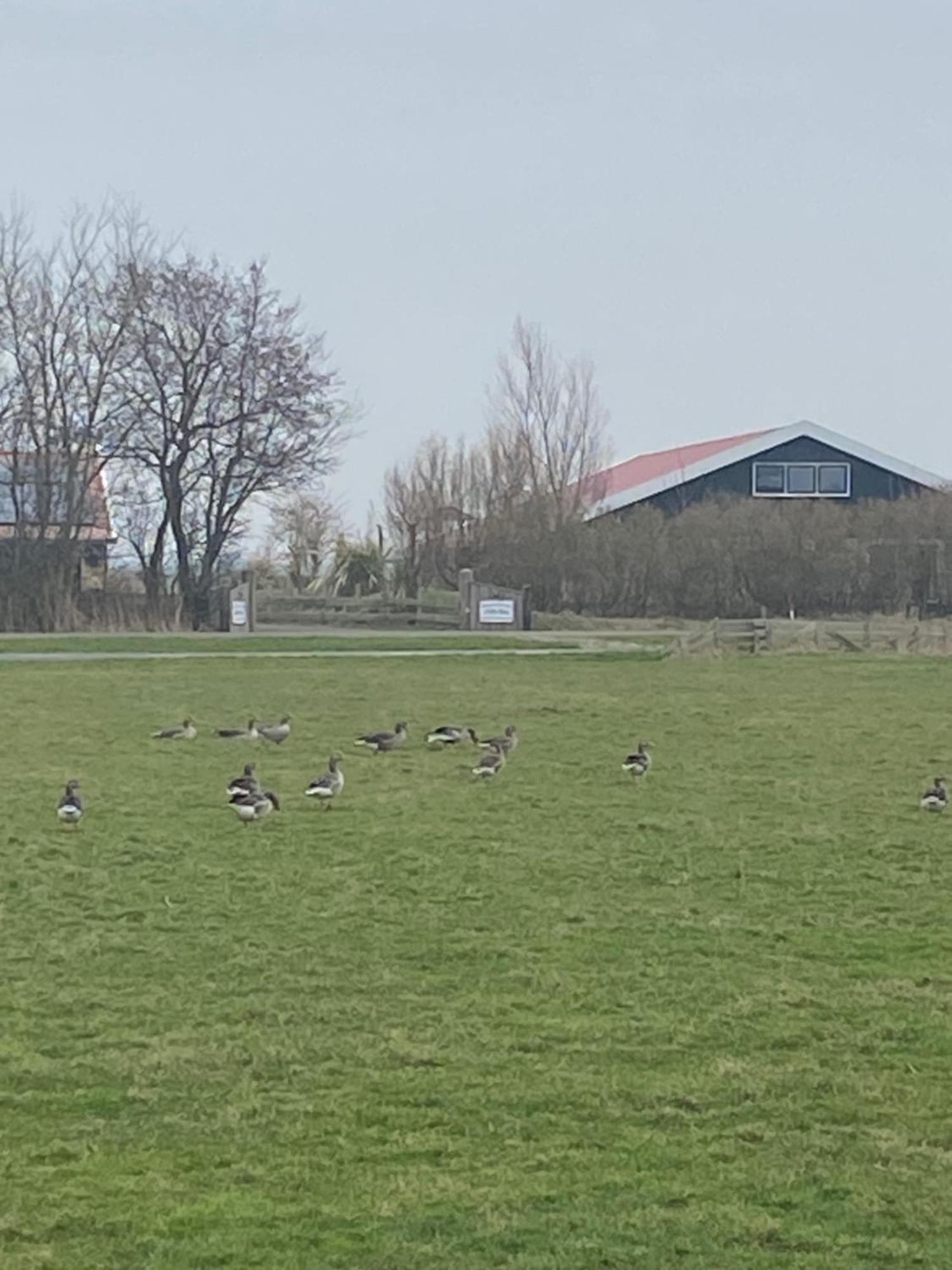 Oomes Huus Haestens And Koffie Den Hoorn  Exteriör bild