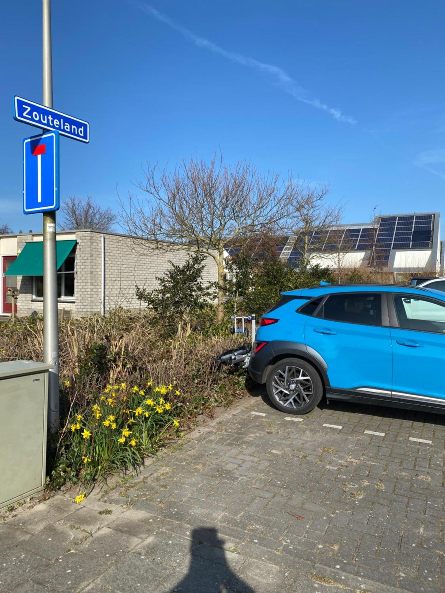 Oomes Huus Haestens And Koffie Den Hoorn  Exteriör bild
